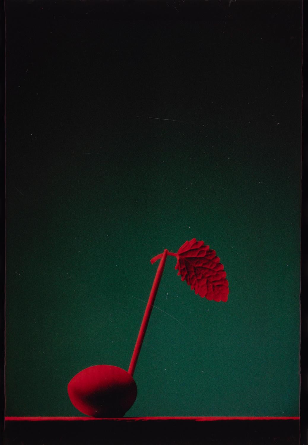 Red Note
Edition of 25
signed and numbered by the artist

This still-life picture of a Music Note consists of an olive, mint leaf and a toothpick. It was shot on Polaroid Polachrome Transparency Film in the 80s.

JJK is a pseudonym for one of the