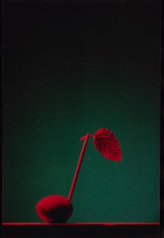 Red Note von JJK, Fotografie, limitierte Auflage, Musik, Polaroid