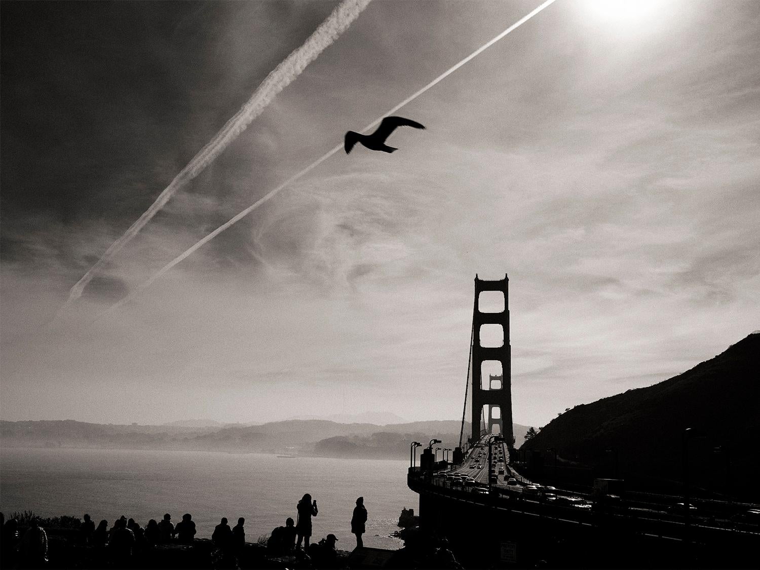 Gabbiano di mare a San Francisco
Edizione di 25
firmato e numerato dall'artista

Un gabbiano marino si sta scorticando davanti al Golden gate Bridge. Sullo sfondo si vede lo skyline di San Francisco.

JJK è lo pseudonimo di uno degli artisti