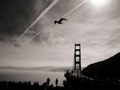 Golden Gate SF von JJK, Fotografie, limitierte Auflage, Tier, Golden Gate