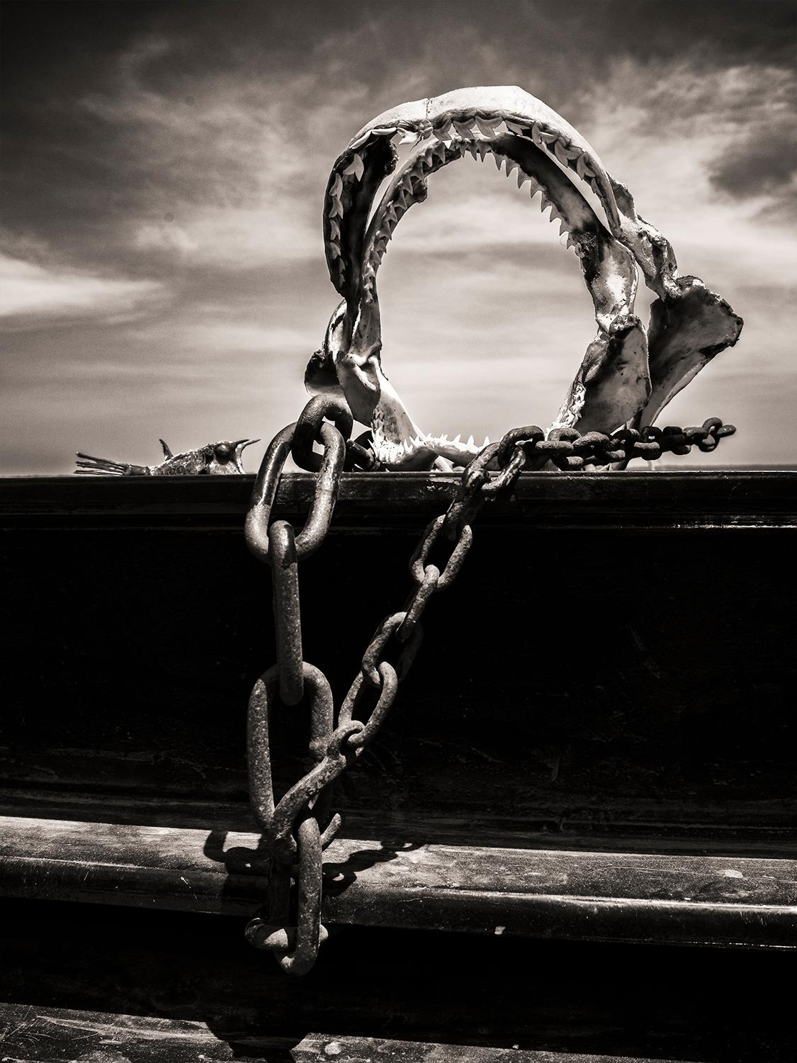 Edition of 25
signed and numbered by the artist

A shark bite is chained to the pier in Lamu.

JJK is a pseudonym for one of the world's most successful photo artists.
In his series "Always in my mind", he depicts history, feelings, scenes and most