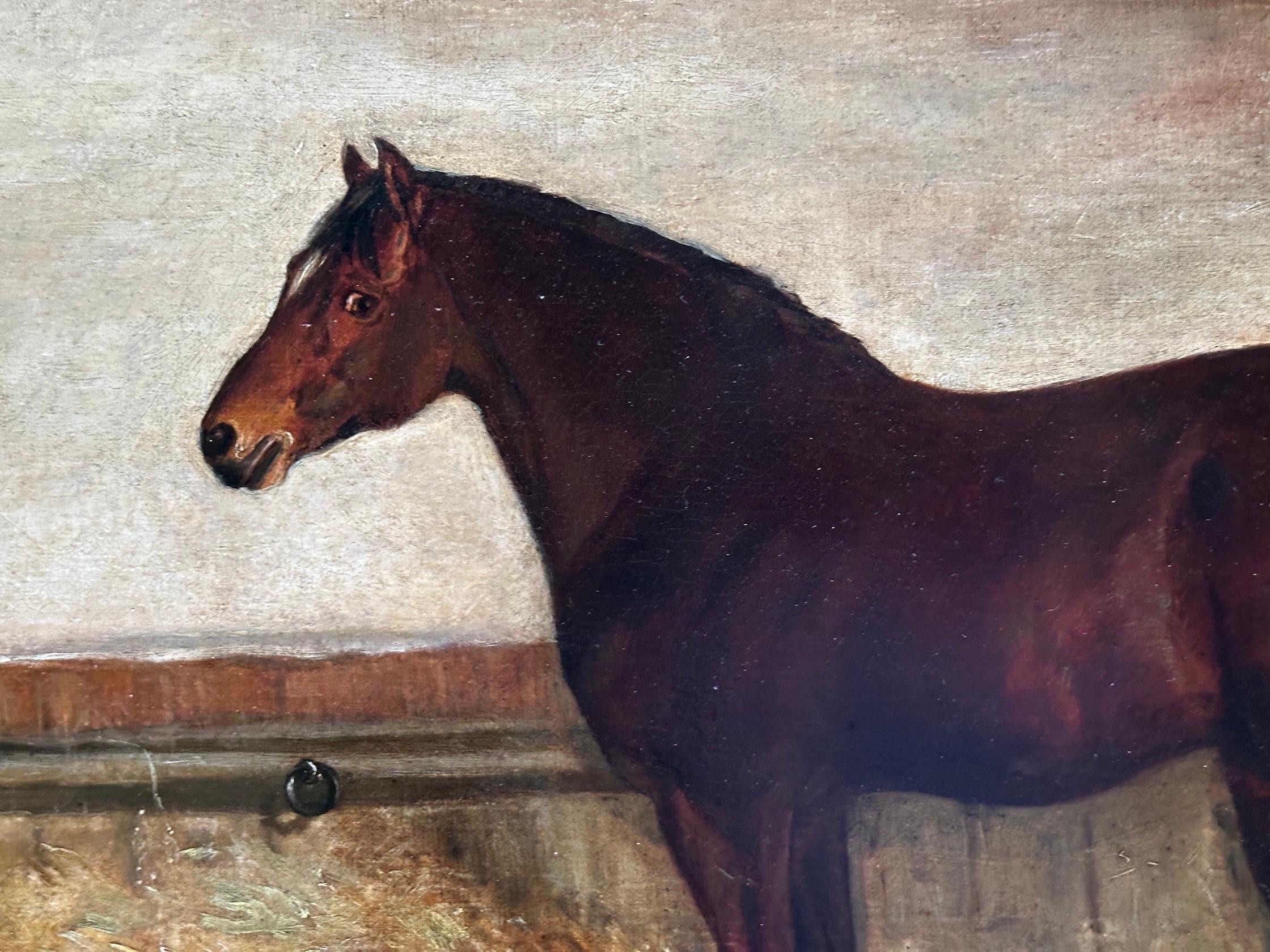 19th century English portrait of a horse and setter dog in a stable For Sale 3