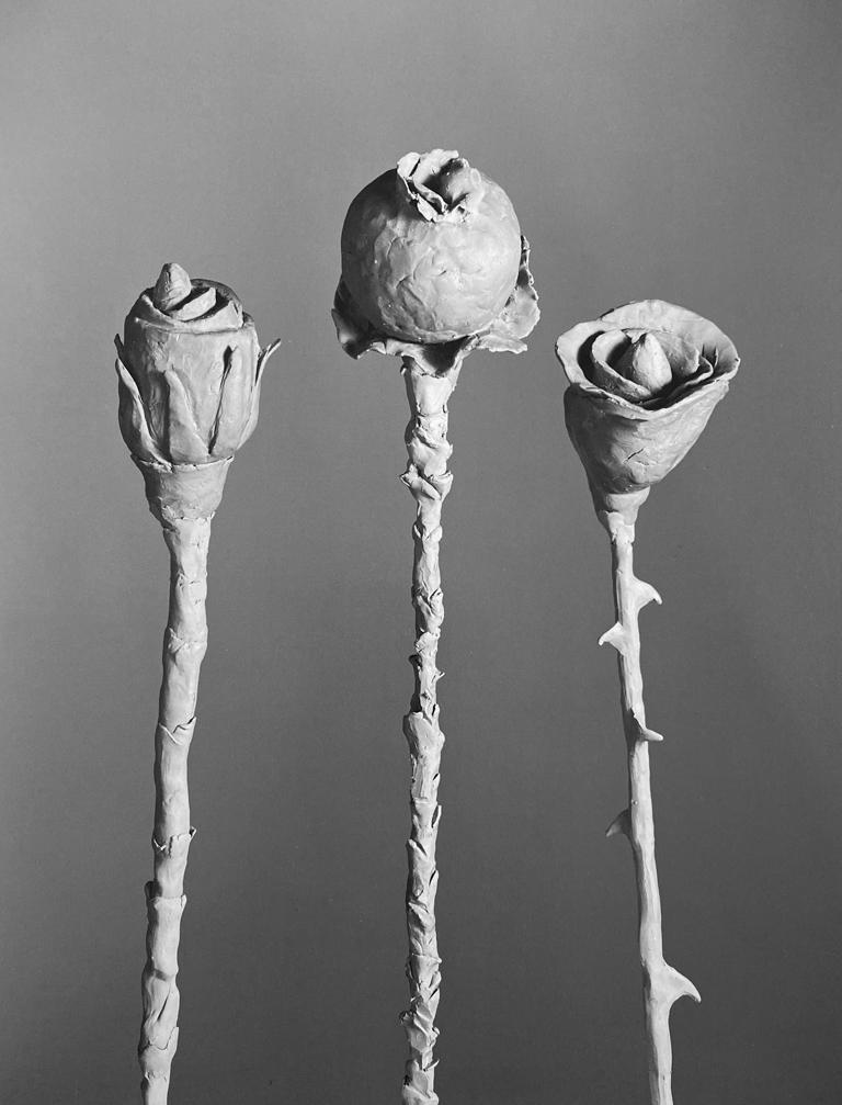 Jo Ann Callis Still-Life Photograph - After Blossfeldt - Plant sculptures, flowers, clay, still life