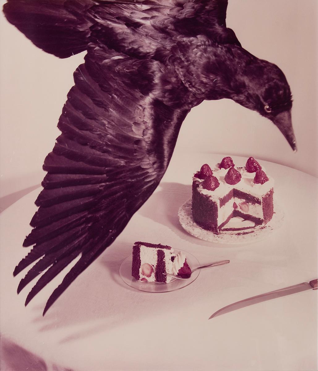 Untitled #106 von Jo Ann Callis zeigt einen schwarzen Vogel, der über einem Tisch mit einer geschichteten Erdbeertorte schwebt. Der Rabe fliegt über den gedeckten Tisch, wobei sein Flügel die Mitte des Bildes schneidet. Der Vogel scheint nach unten