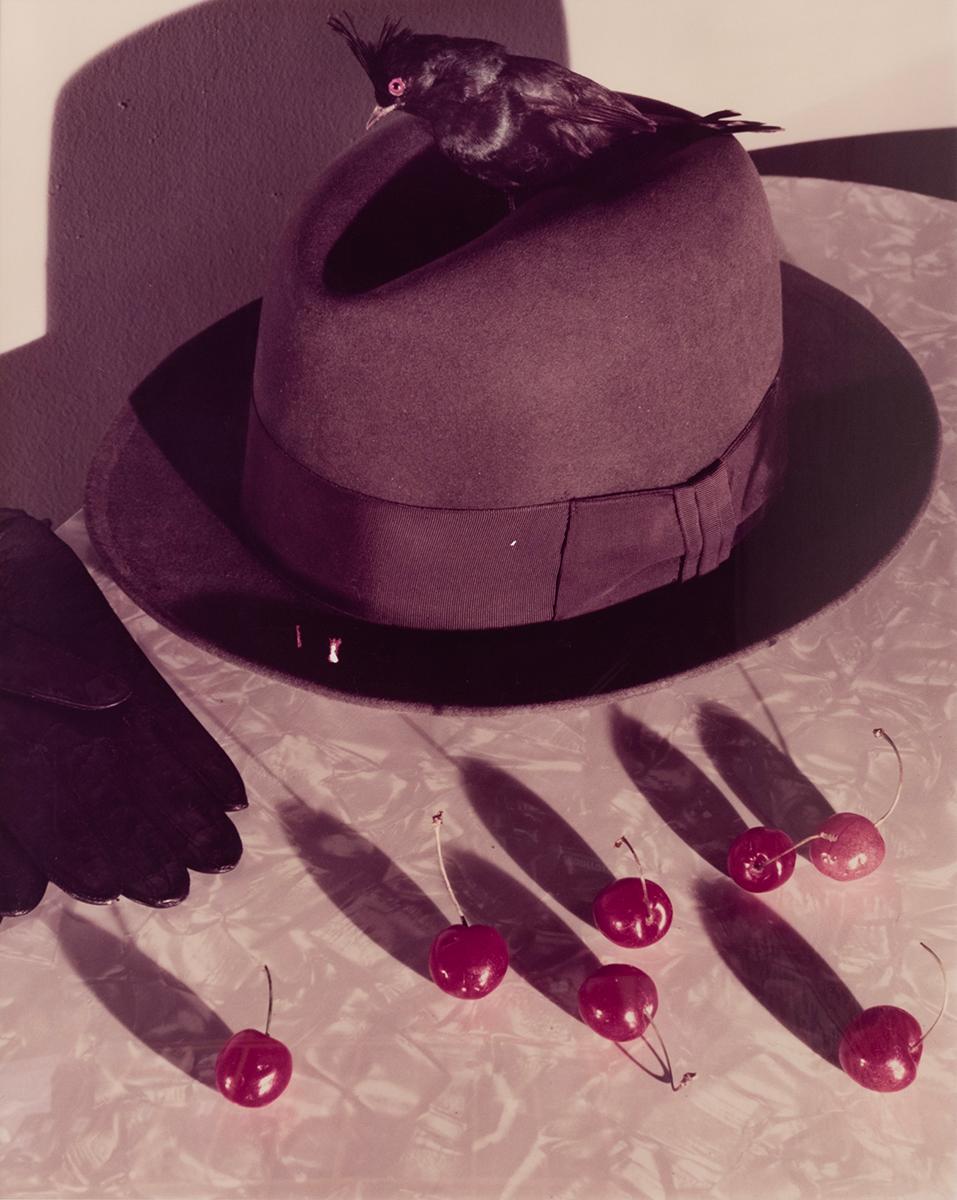Untitled #115 von Jo Ann Callis zeigt einen Hut und ein Paar Handschuhe auf einem Tisch mit 7 darunter liegenden Kirschen. Ein kleiner schwarzer Vogel sitzt auf dem Hut und blickt auf das auf dem Tisch verstreute Obst hinunter.

Dieser Vintage