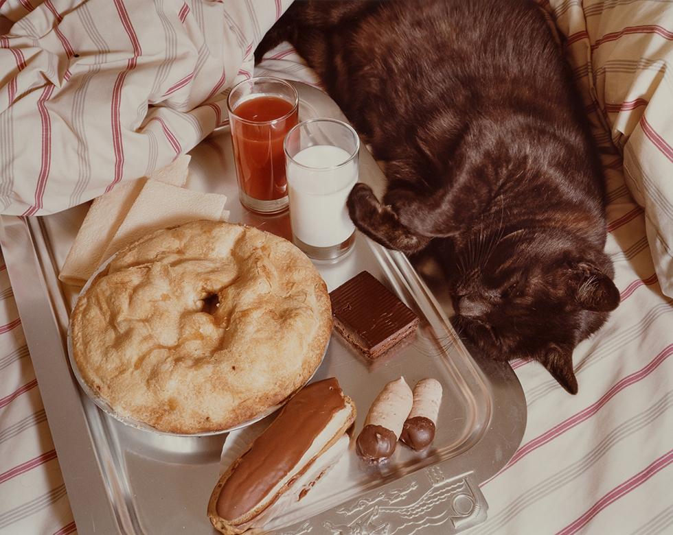 Jo Ann Callis Color Photograph - Untitled (Cat Nap)
