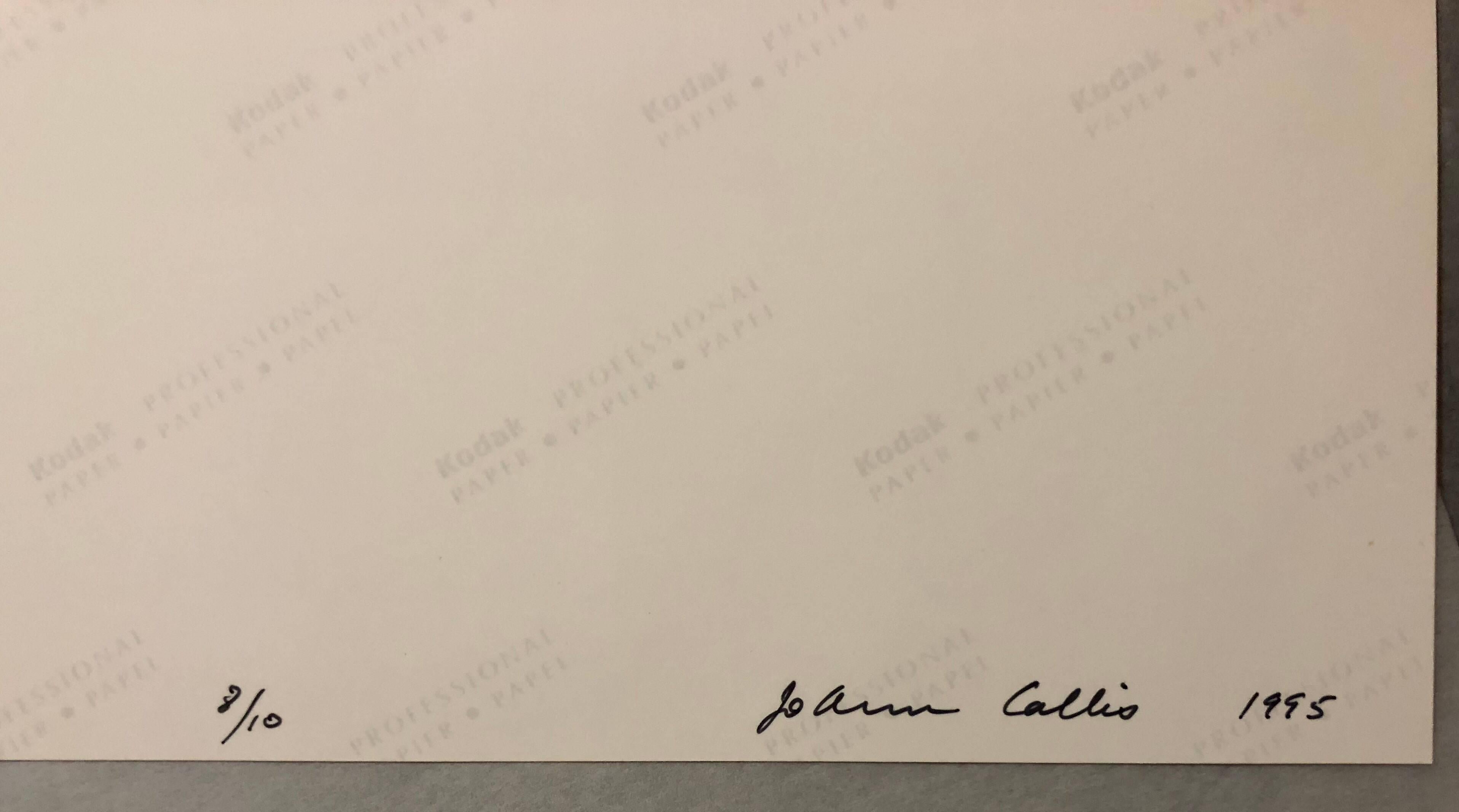 Anstecknadel, signierte Fotografie, Silber Gelatinesilber (Schwarz), Still-Life Photograph, von Jo Ann Callis