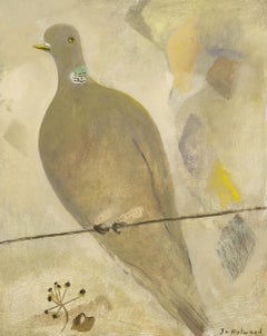 Piccione malinconico, 2024 - Uccello dipinto a olio in colori neutri, grigio, marrone, beige