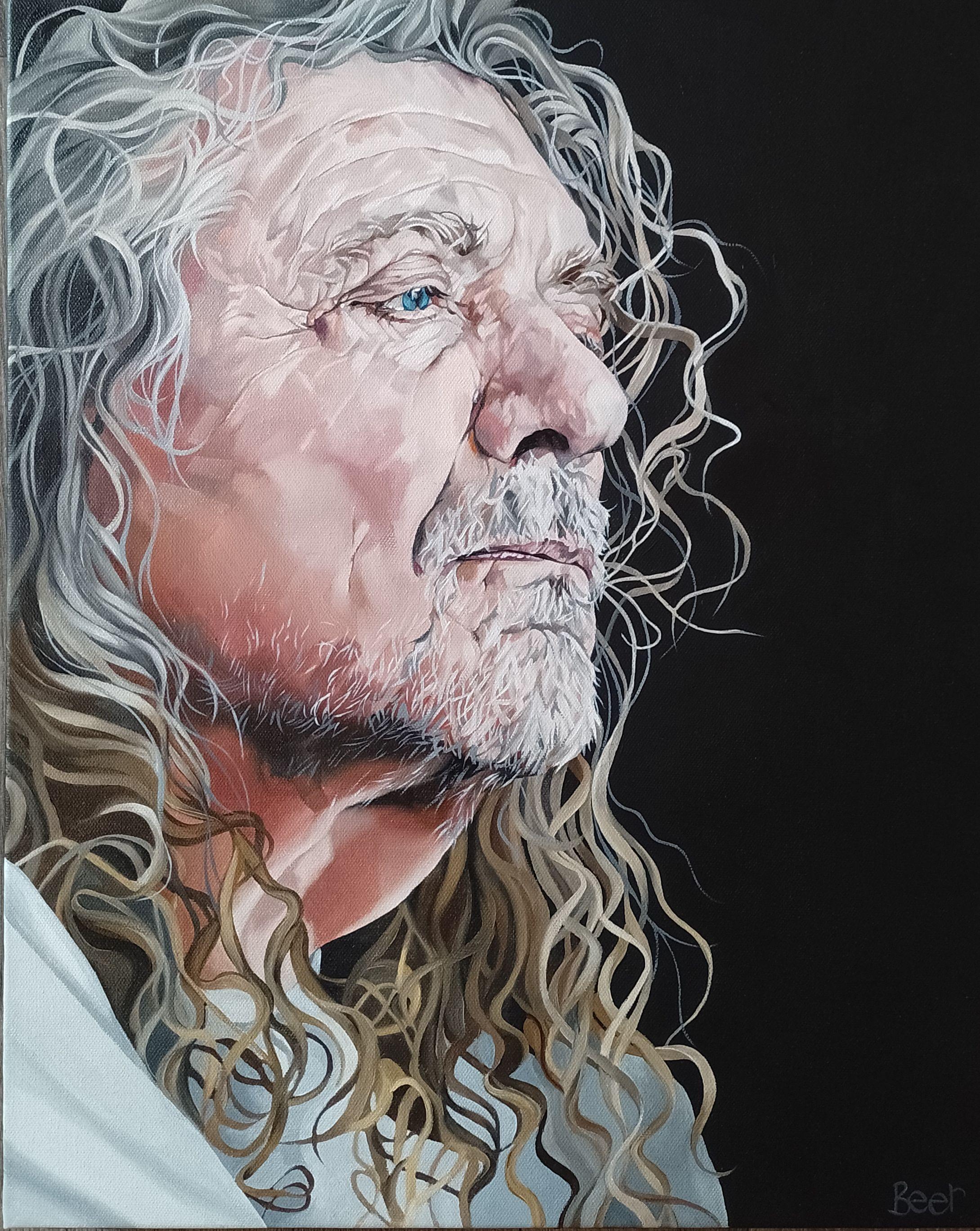 I love a face that looks lived in, and this one is full if characterful lines and furrows.   Robert Plant is ageing beautifully, I think he looks fantastic.     I have cropped his face so as to concentrate on detail and have kept the background