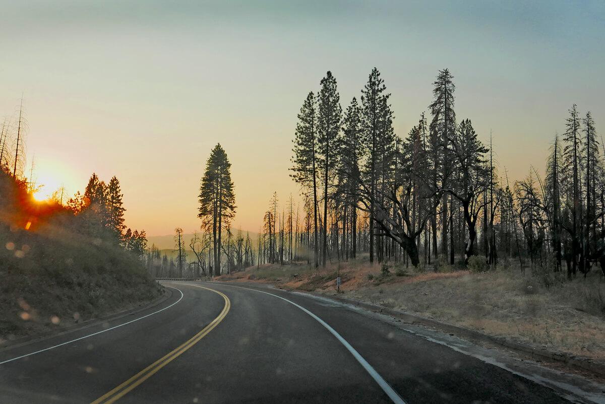 Autopista California, 2016 - Estados Unidos Paisaje americano Fotografía de viajes