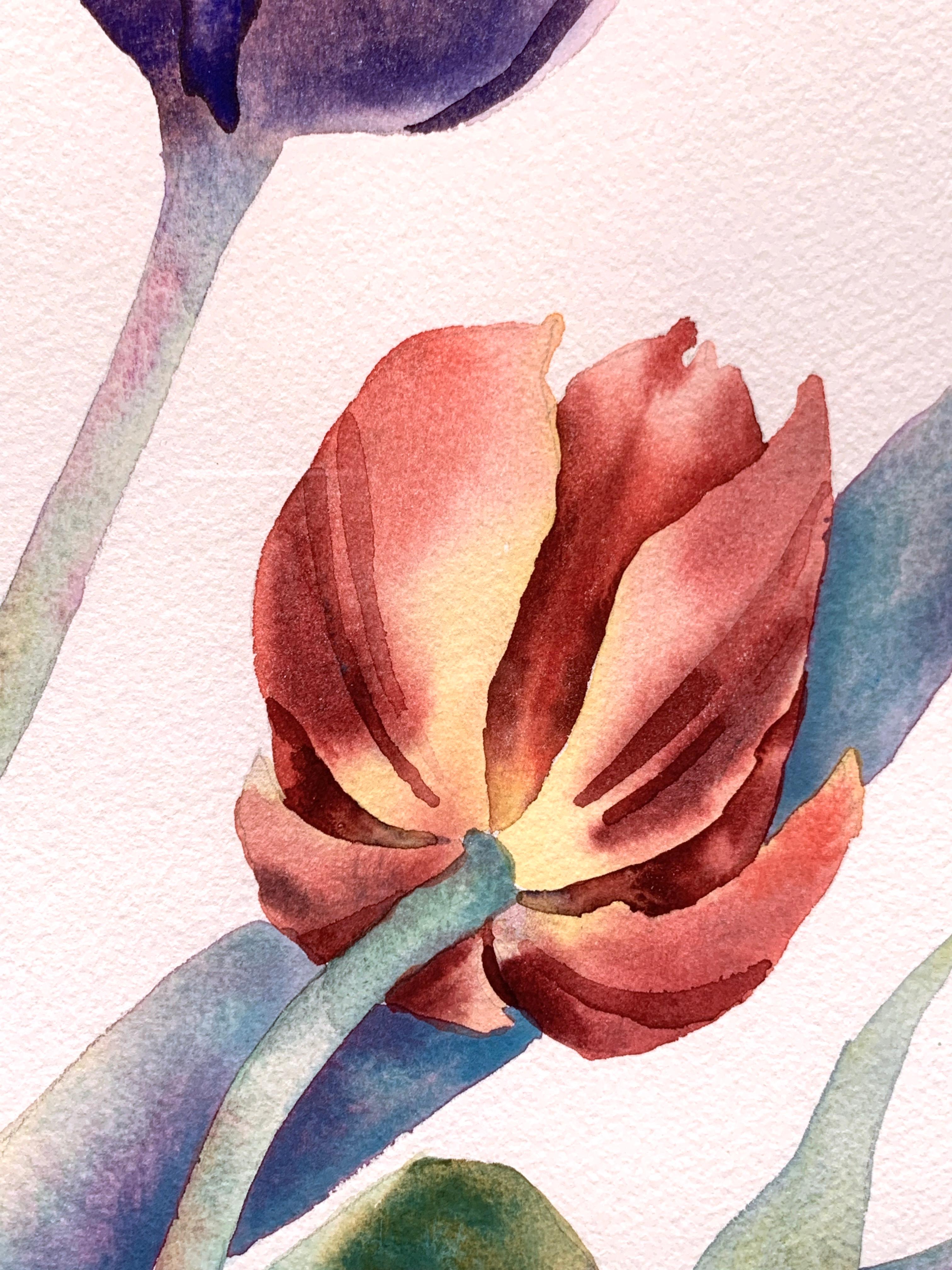 tulip watercolor painting