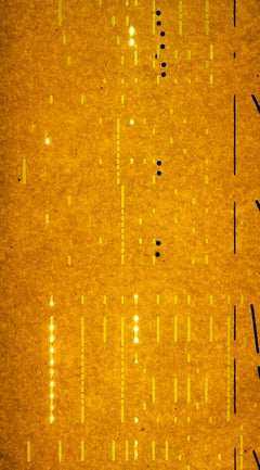 Jo Yarrington, Mute-Ability_Composition 2, 2019_acrylic, steel, player piano rol