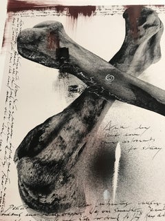 "Bones", Kenya, Elephant, Painting, Photography, Mixed Media