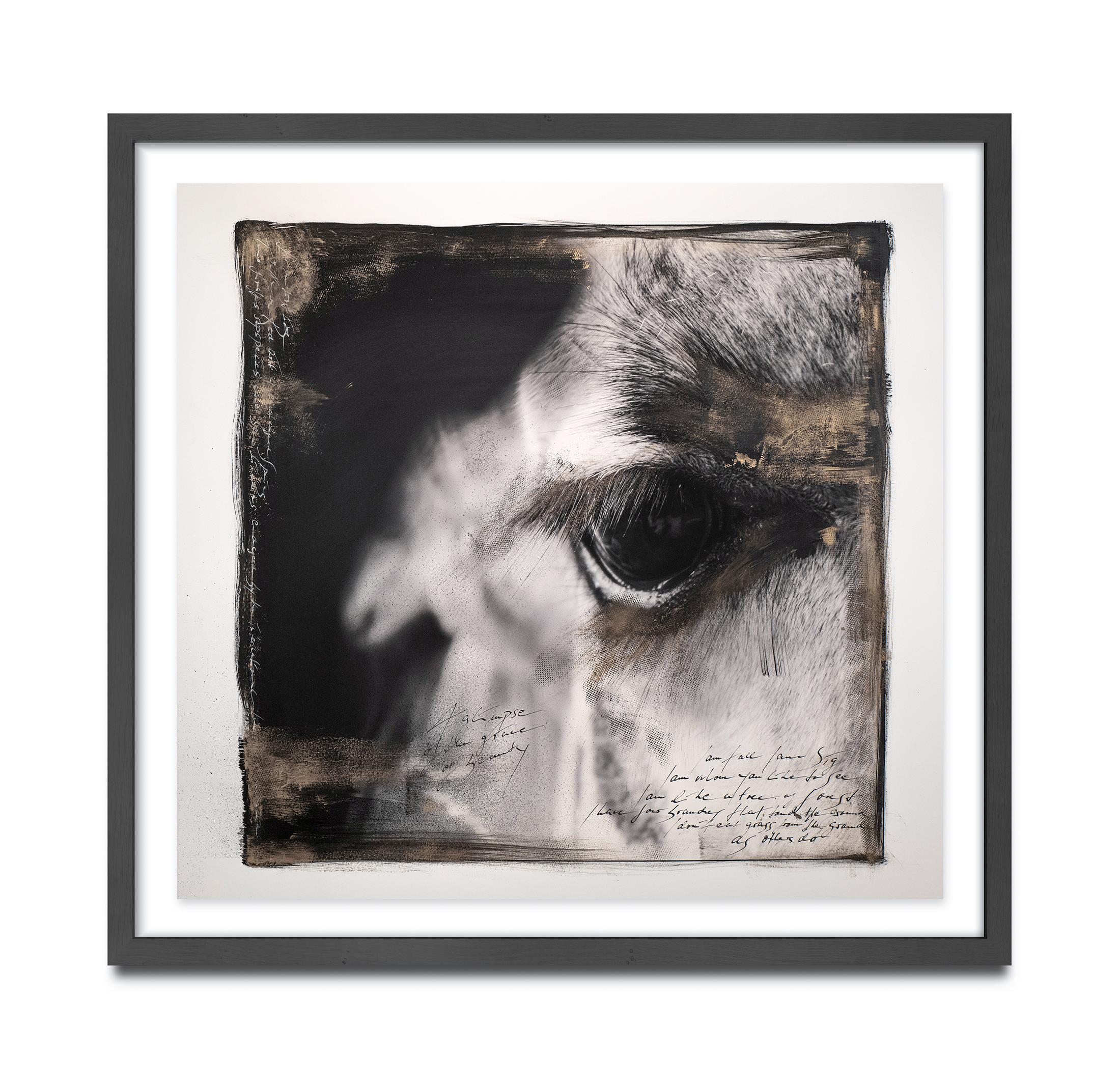 Joachim Schmeisser Black and White Photograph - Giraffe's Eye, Kenya, Elephant, Painting, Photography, Mixed Media