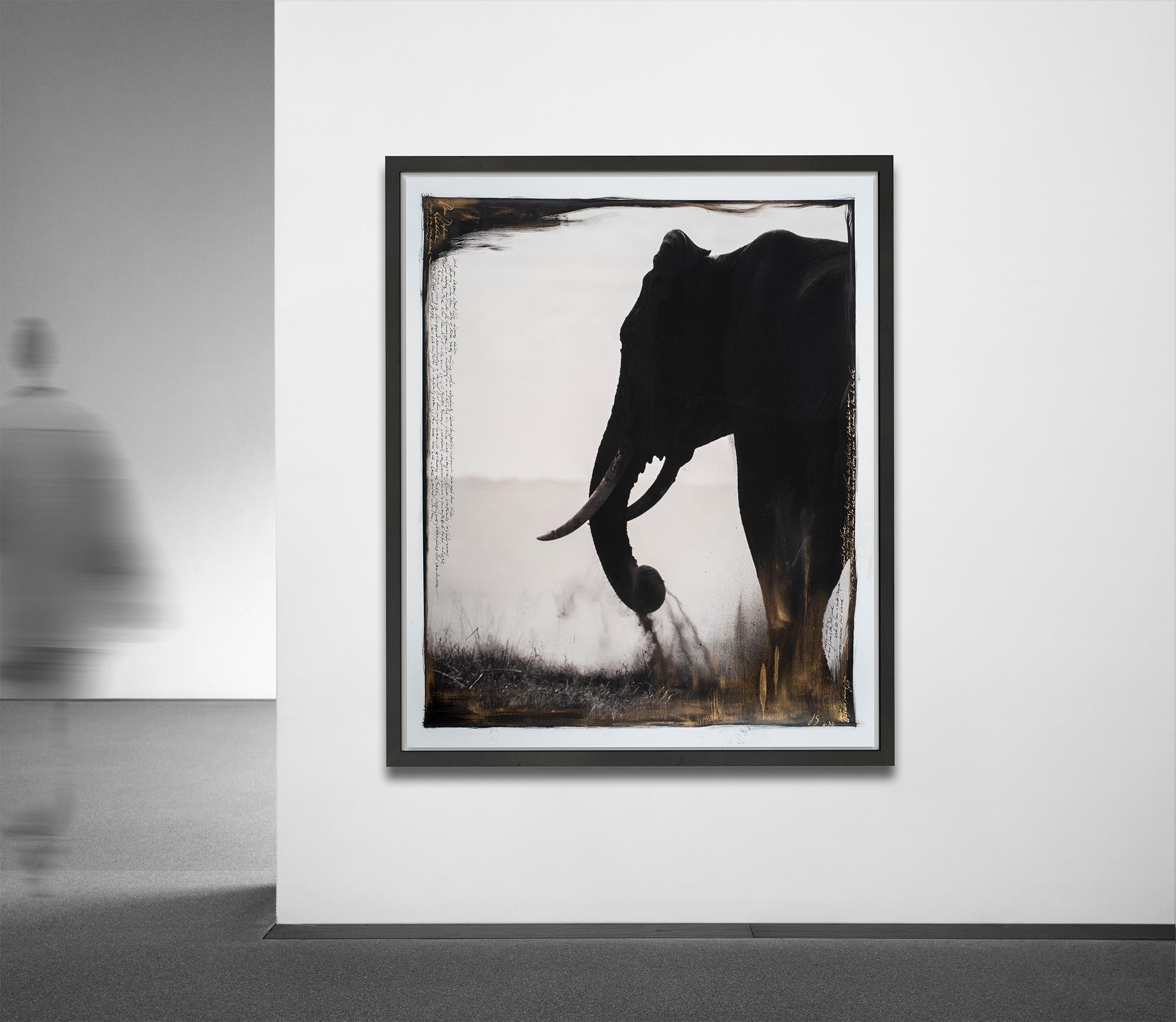 Gardien d'Eden, Kenya, Éléphant, Peinture, Photographie, Techniques Mixtes en vente 2
