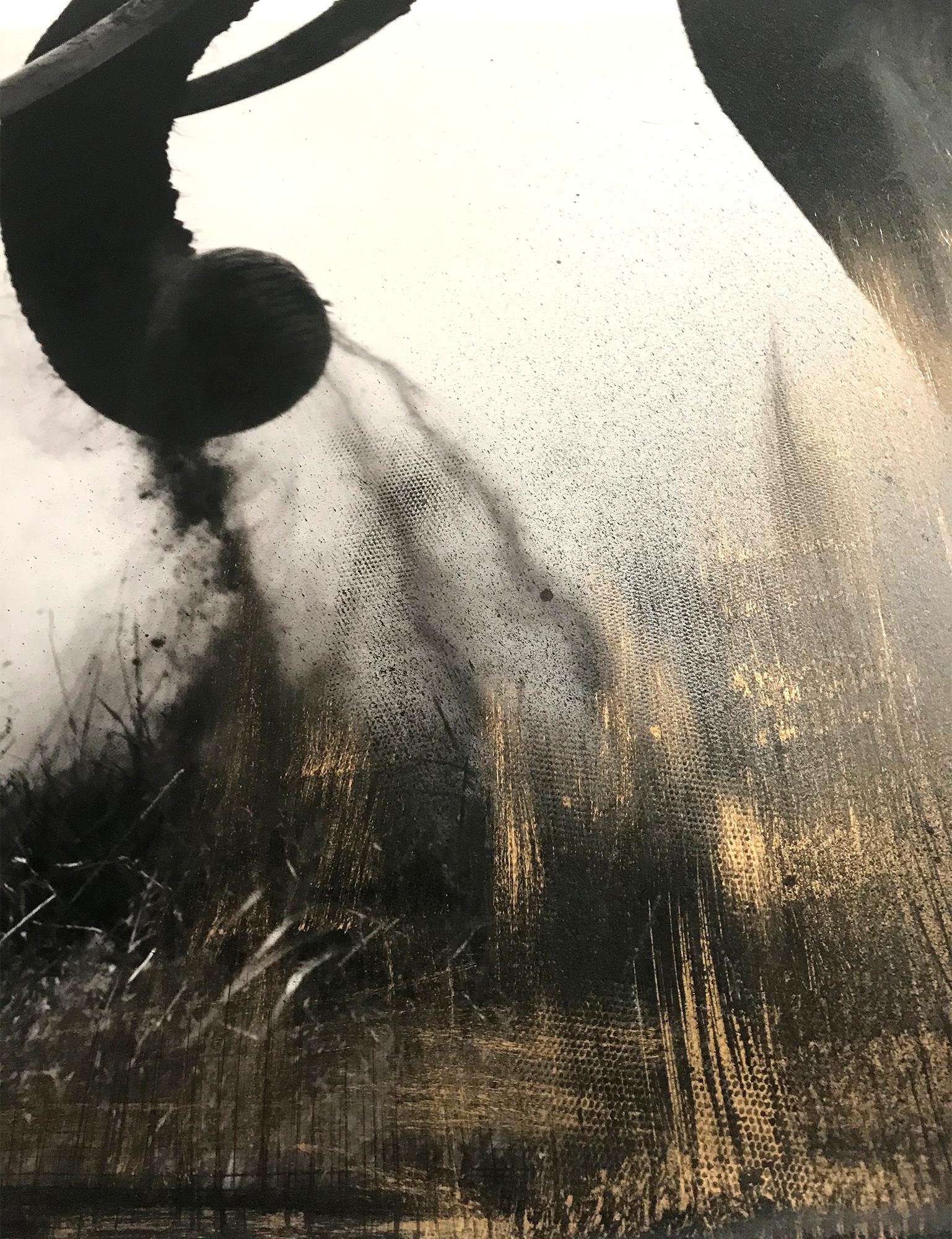 Guardián del Edén, Kenia, Elefante, Pintura, Fotografía, Técnica mixta - Photograph de Joachim Schmeisser