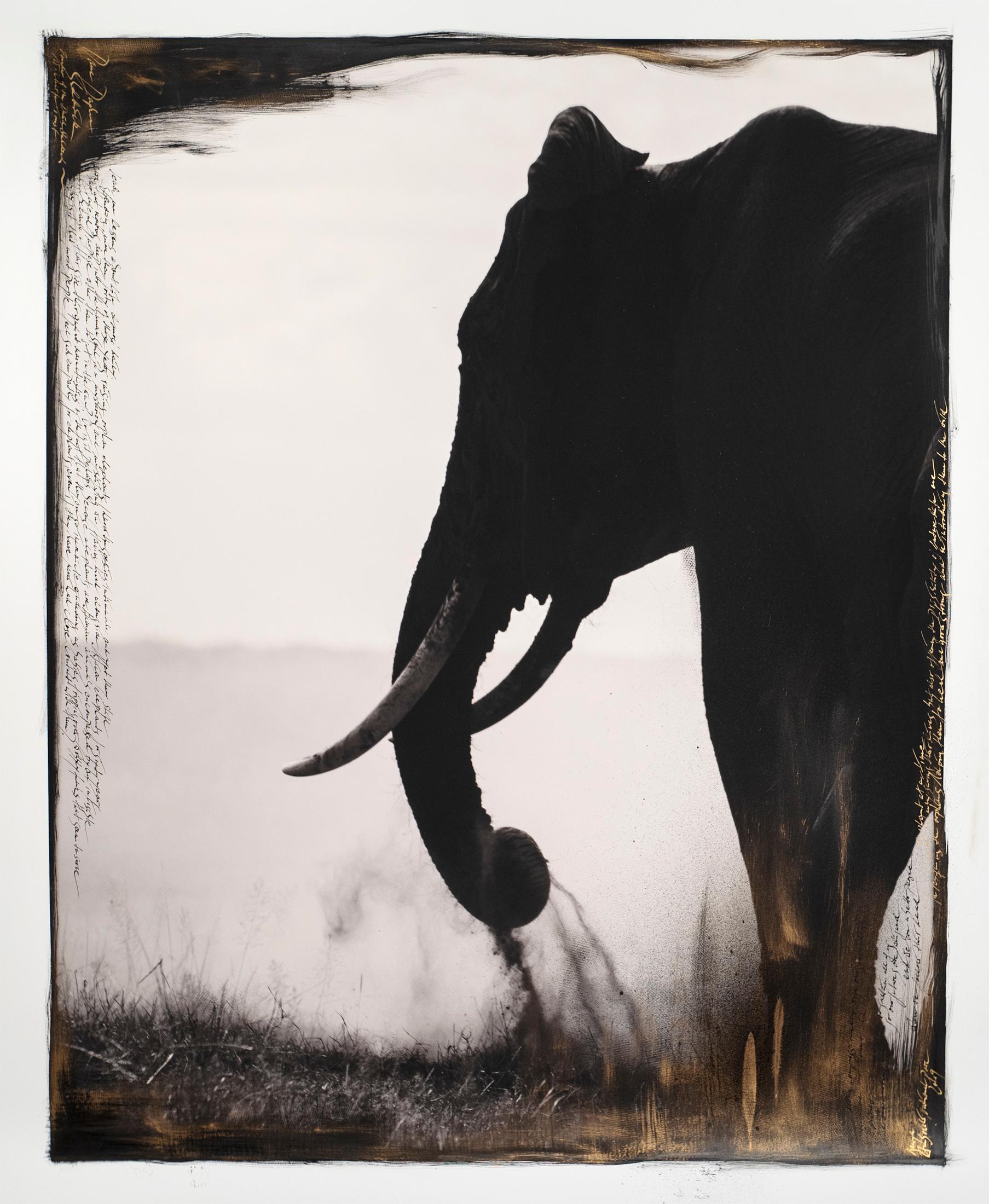Guardián del Edén, Kenia, Elefante, Pintura, Fotografía, Técnica mixta en venta 1