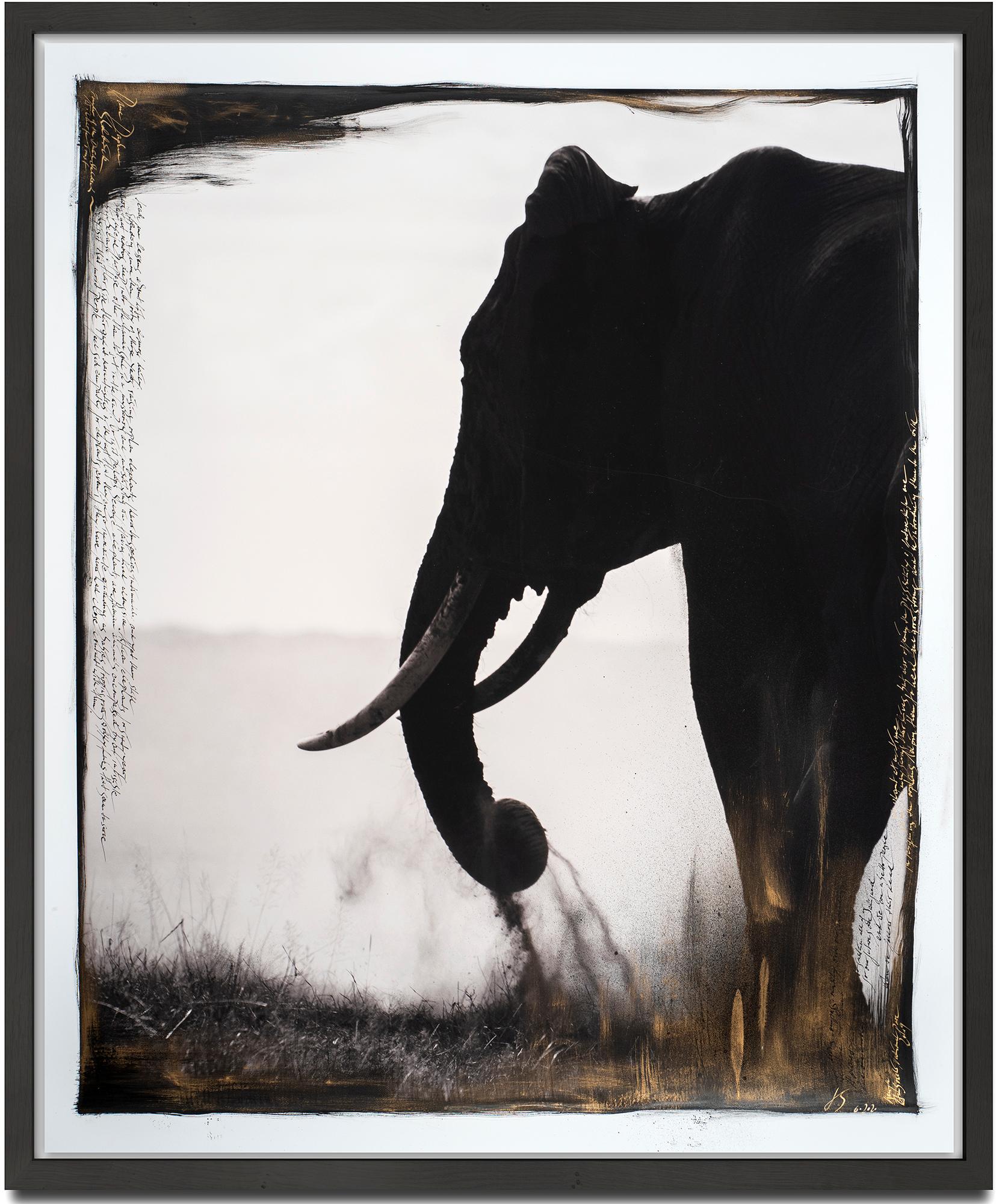 Black and White Photograph Joachim Schmeisser - Gardien d'Eden, Kenya, Éléphant, Peinture, Photographie, Techniques Mixtes