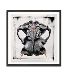 "Skull", Africa, Elephant, Painting, Photography, Mixed Media, animal