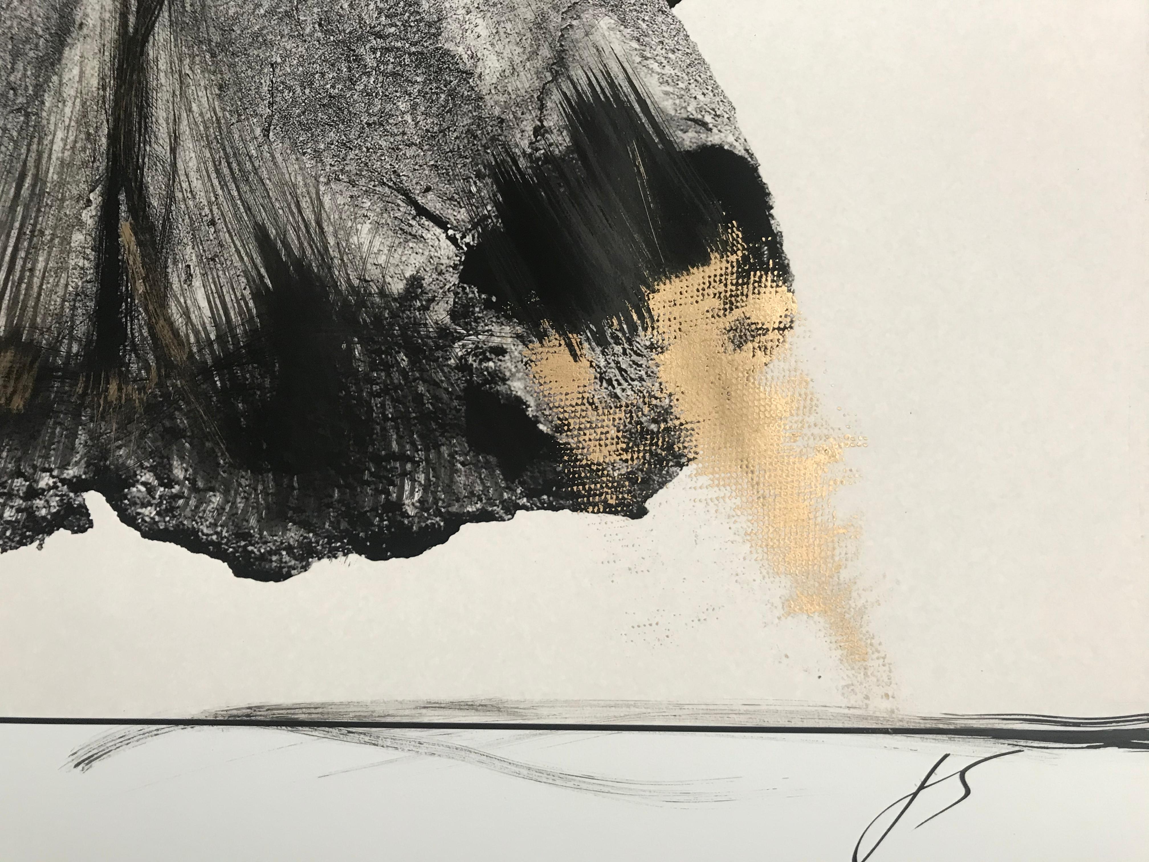 Pieza única / Única

Una mandíbula superior de un cráneo de Elefante. Impresión de archivo de museo sobre papel verjurado Hahnemühle, Fotografía pintada con tinta de dibujo, pigmentos dorados. Poema manuscrito de Edgar Allan Poe.

Es uno de los