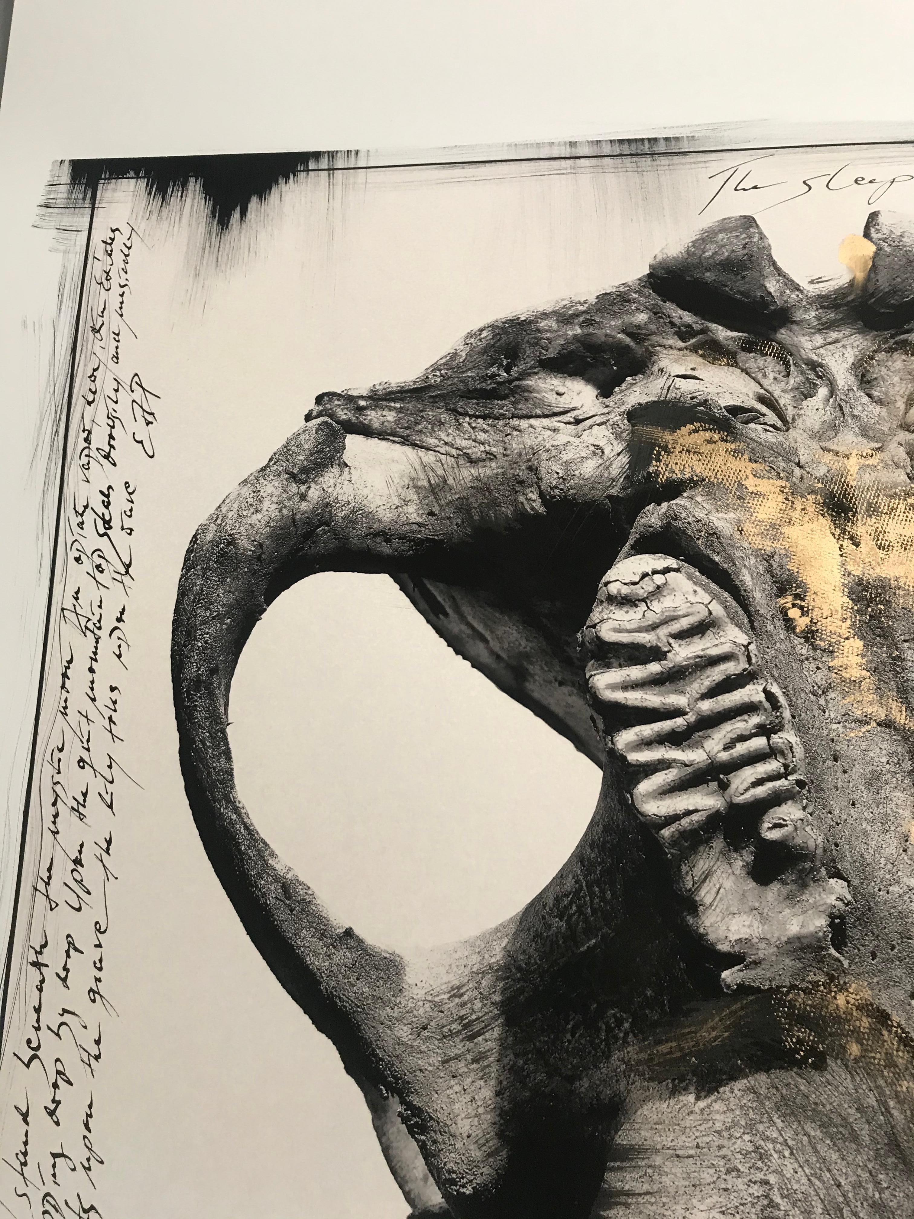 Unique Piece / One of a Kind

An upper jaw of an Elephant skull. Museum Archival Print on Hahnemühle Laid paper, Photography painted with Drawing Ink, Gold Pigments. Handwritten poem by Edgar Allan Poe.

He is one of the multifaceted artists among