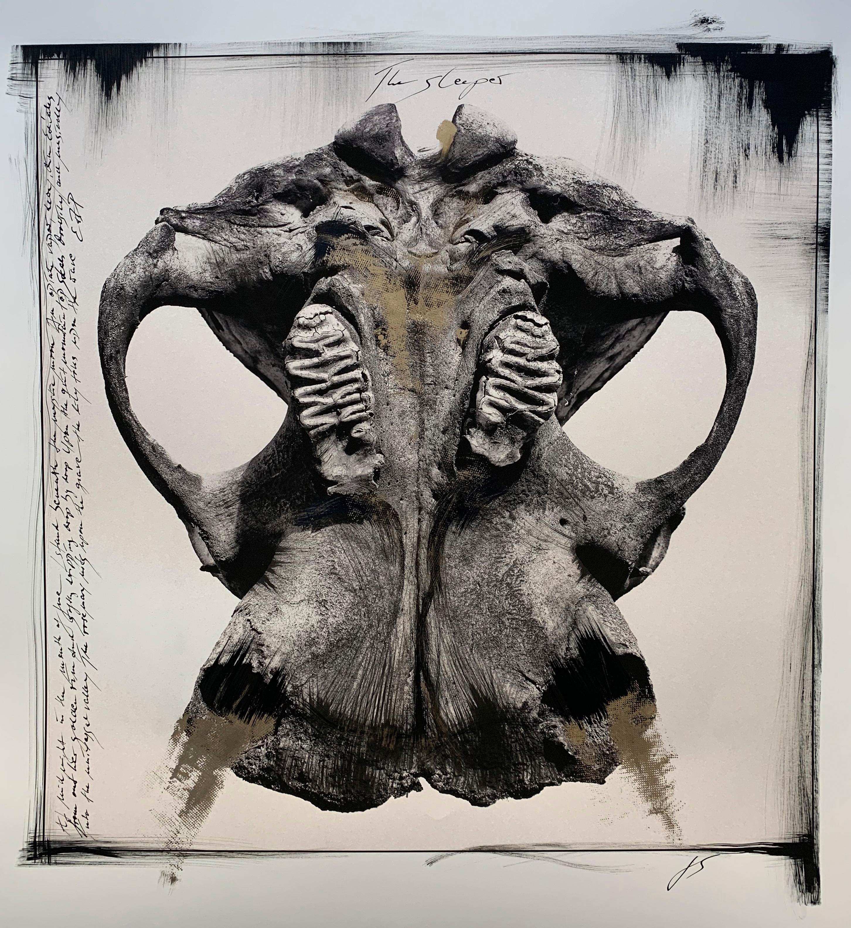 "Cráneo", África, Elefante, Pintura, Fotografía, Técnica mixta, animal