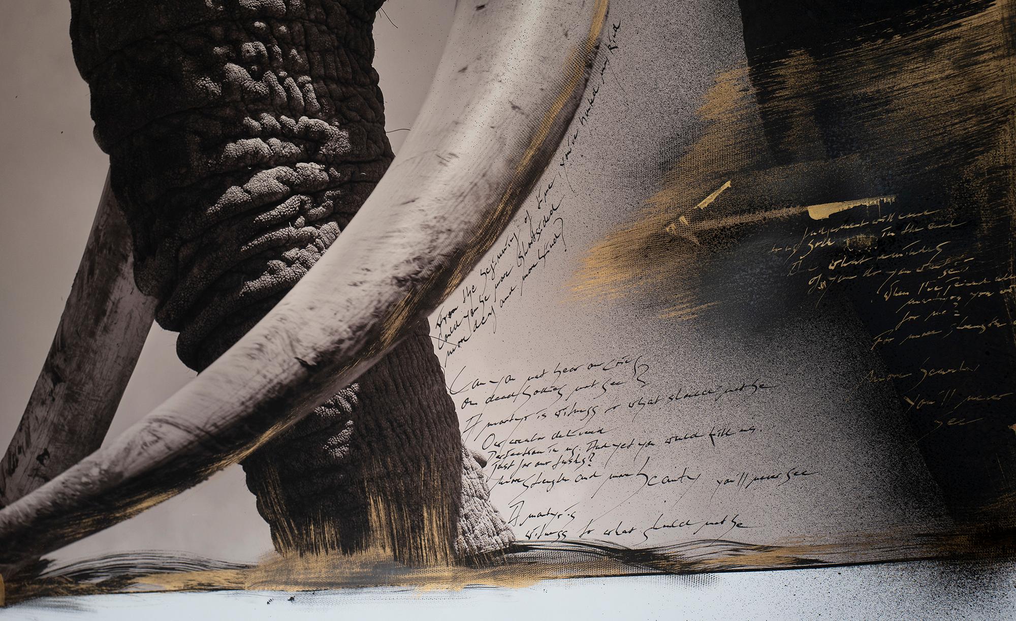 Tim - the Gentle Giant, Elephant, Mixed Media, black and white photography - Contemporary Painting by Joachim Schmeisser