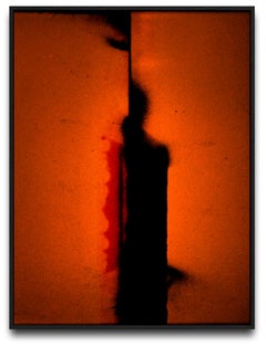 n° 228, Photographie, peinture, expressionnisme