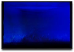 n° 253, Photographie, peinture, expressionnisme