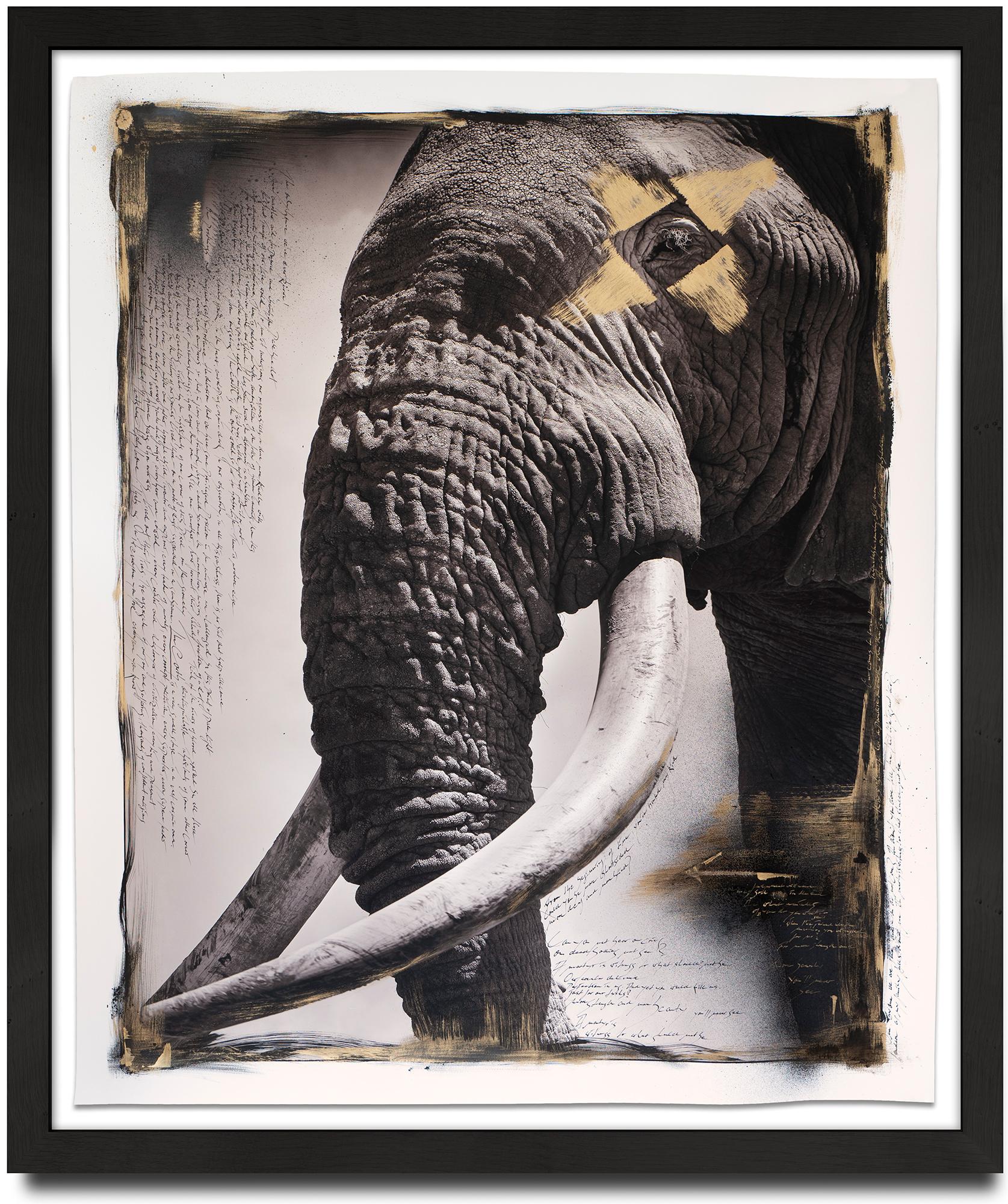 Tim - the Gentle Giant, Elephant, Mixed Media, black and white photography - Painting by Joachim Schmeisser