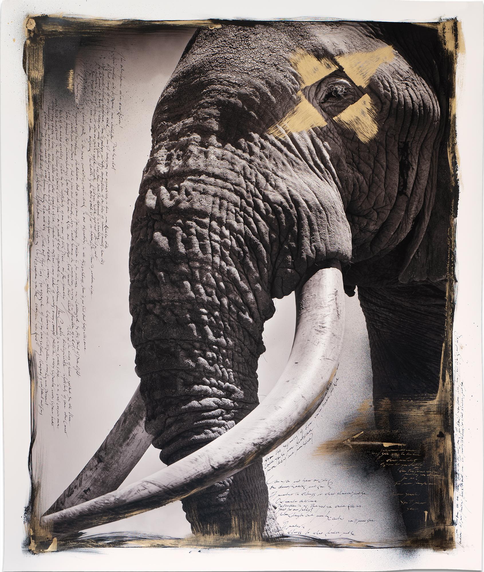 Joachim Schmeisser Animal Painting - Tim - the Gentle Giant, Elephant, Mixed Media, black and white photography