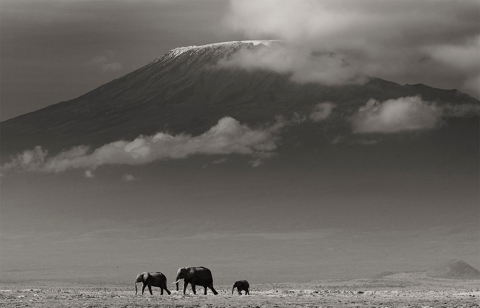 A glimpse into Paradise wildlife, b&w photography, landscape, Africa - Photograph by Joachim Schmeisser