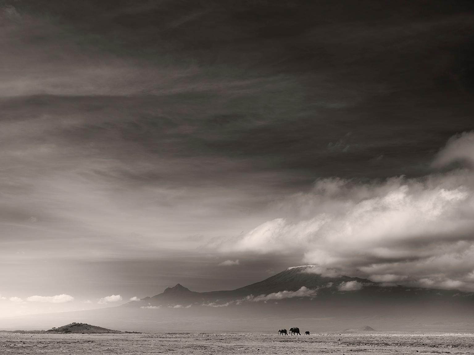 Joachim Schmeisser Black and White Photograph - Amboseli Plains, blackandhwite photography, Africa, Portrait, Wildlife