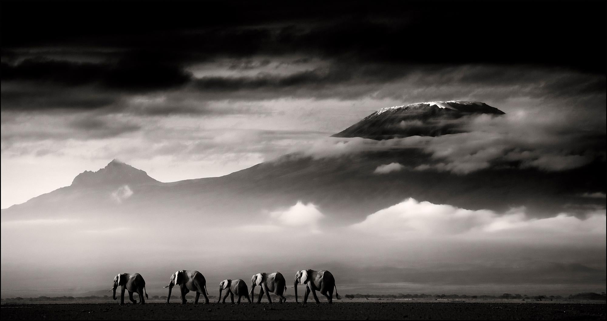 Joachim Schmeisser Black and White Photograph – Beyond I, Kenia, Elefant, Tier, Wildtiere, Schwarz-Weiß-Fotografie