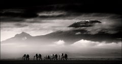 Au-delà de moi, Kenya, éléphant, animal, faune sauvage, photographie en noir et blanc
