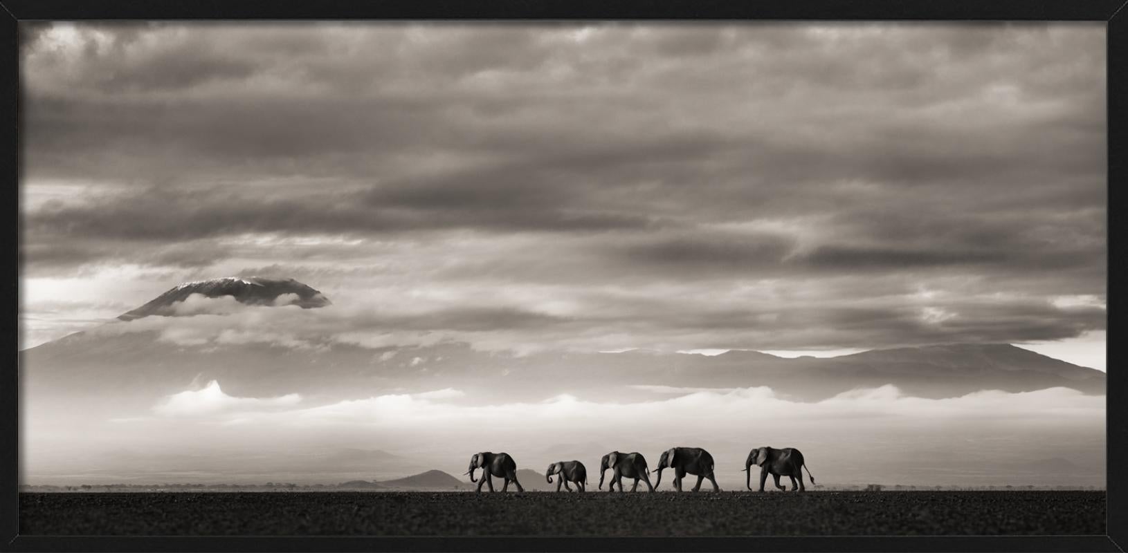 Beyond II - Elefanti e montagne nel deserto, Fotografia d'autore, 2019 - Landscape Photograph Grigio di Joachim Schmeisser