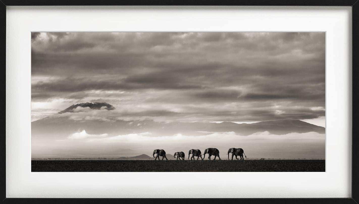 Panorama di un paesaggio con savana, montagne sullo sfondo e cielo nuvoloso. Un gruppo di elefanti cammina in primo piano, fotografato da Joachim Schmeisser nel 2019.

Tutte le stampe sono in edizione limitata. Disponibile in più misure. Cornici di