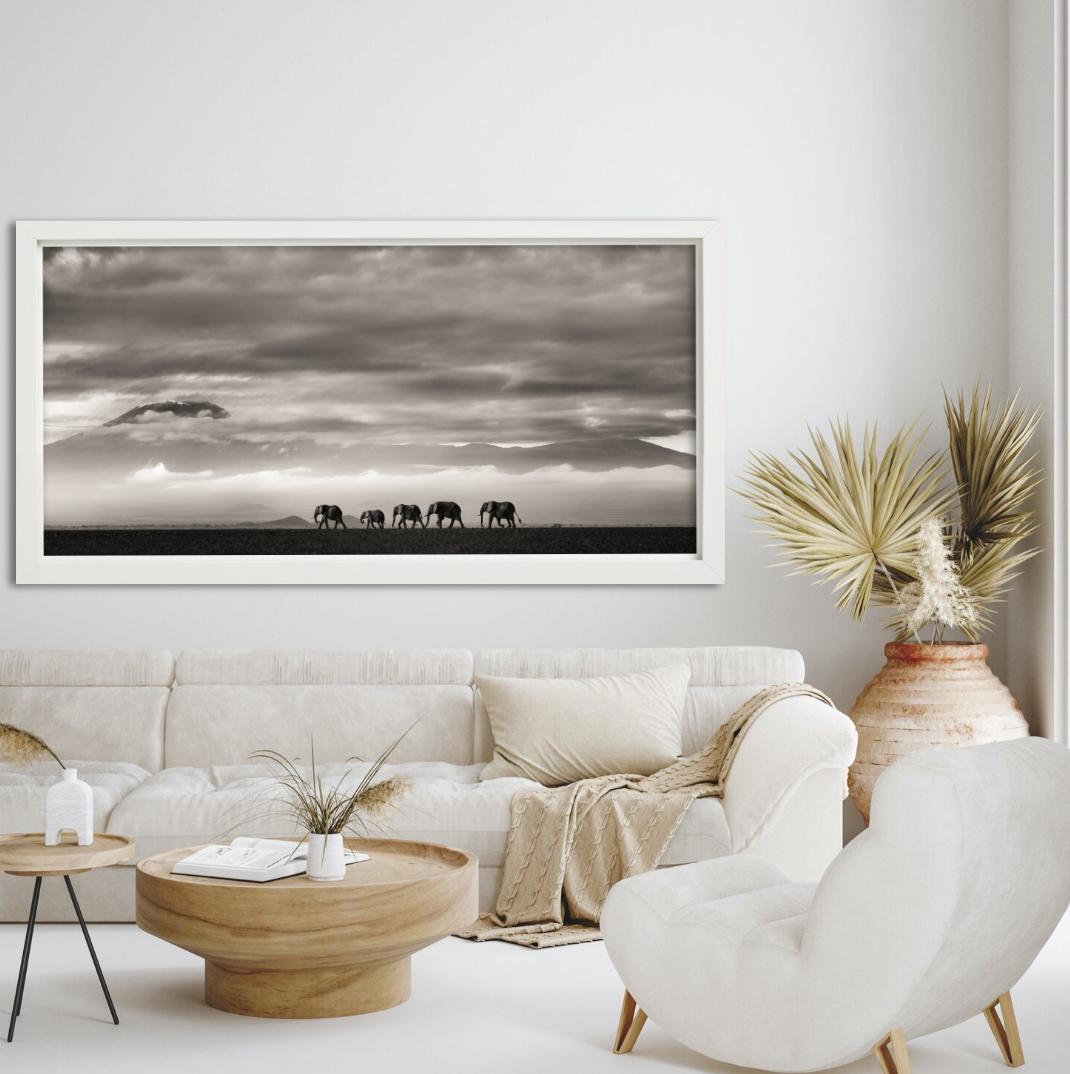 Beyond II - Elefanti e montagne nel deserto, Fotografia d'autore, 2019 in vendita 4