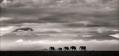 Beyond II - Elephants and Mountains in the Desert, Fine Art Photography, 2019