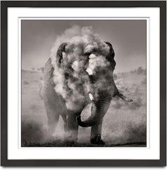 Bull dusting I, Kenya, animal, wildlife, black and white photography, elephant