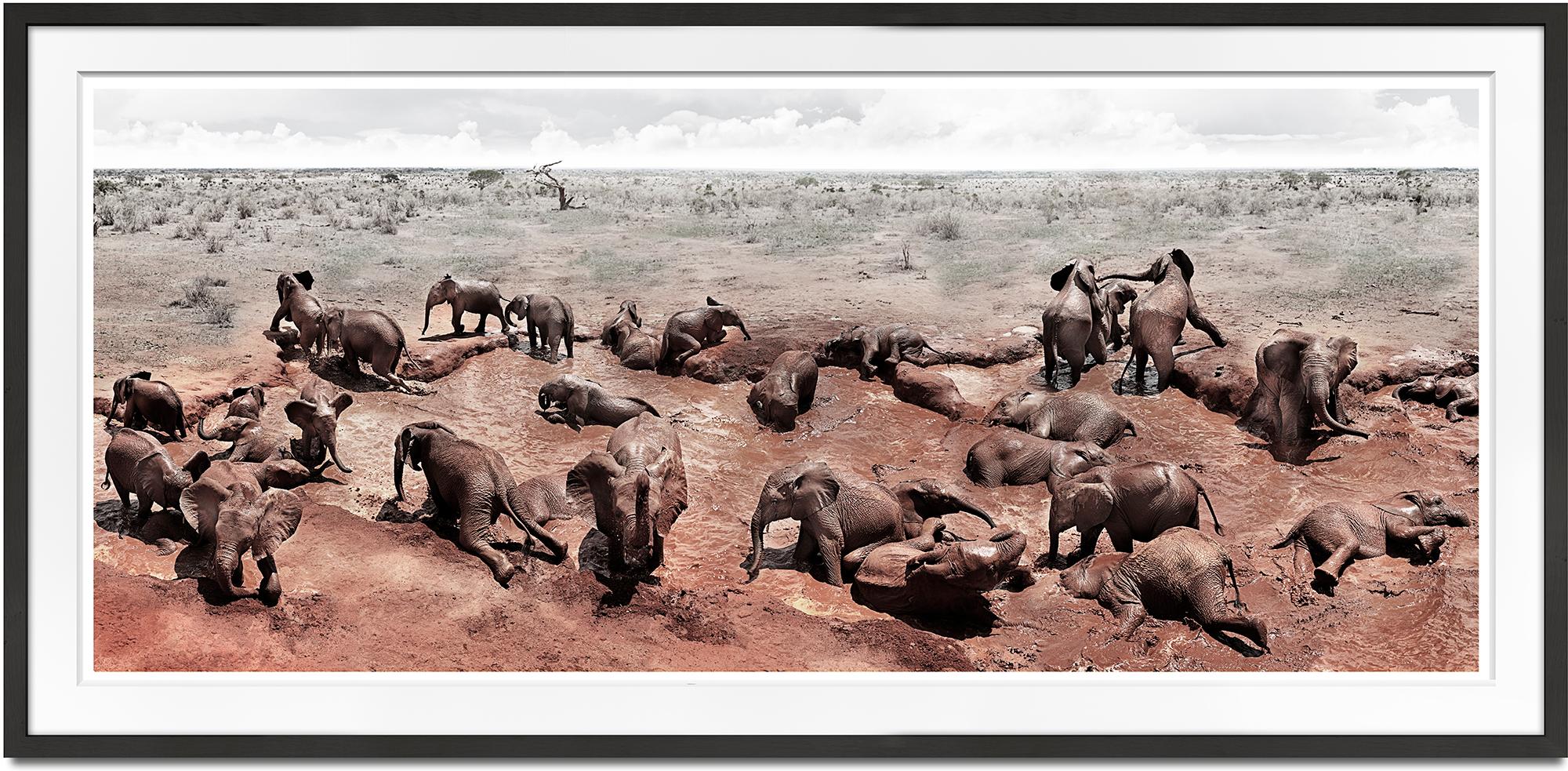 Kreis des Lebens I, Tier, Tierwelt, Schwarz-Weiß-Fotografie, Elefant – Photograph von Joachim Schmeisser