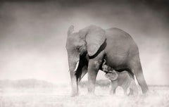 Connected II, Kenya, animaux, faune sauvage, photographie en noir et blanc, éléphant