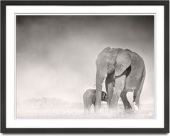 Connected, Kenya, Elephant, animal, wildlife, black and white photography