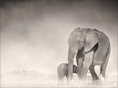Connected, Kenya, Elefant, Tier, Wildtiere, Schwarz-Weiß-Fotografie