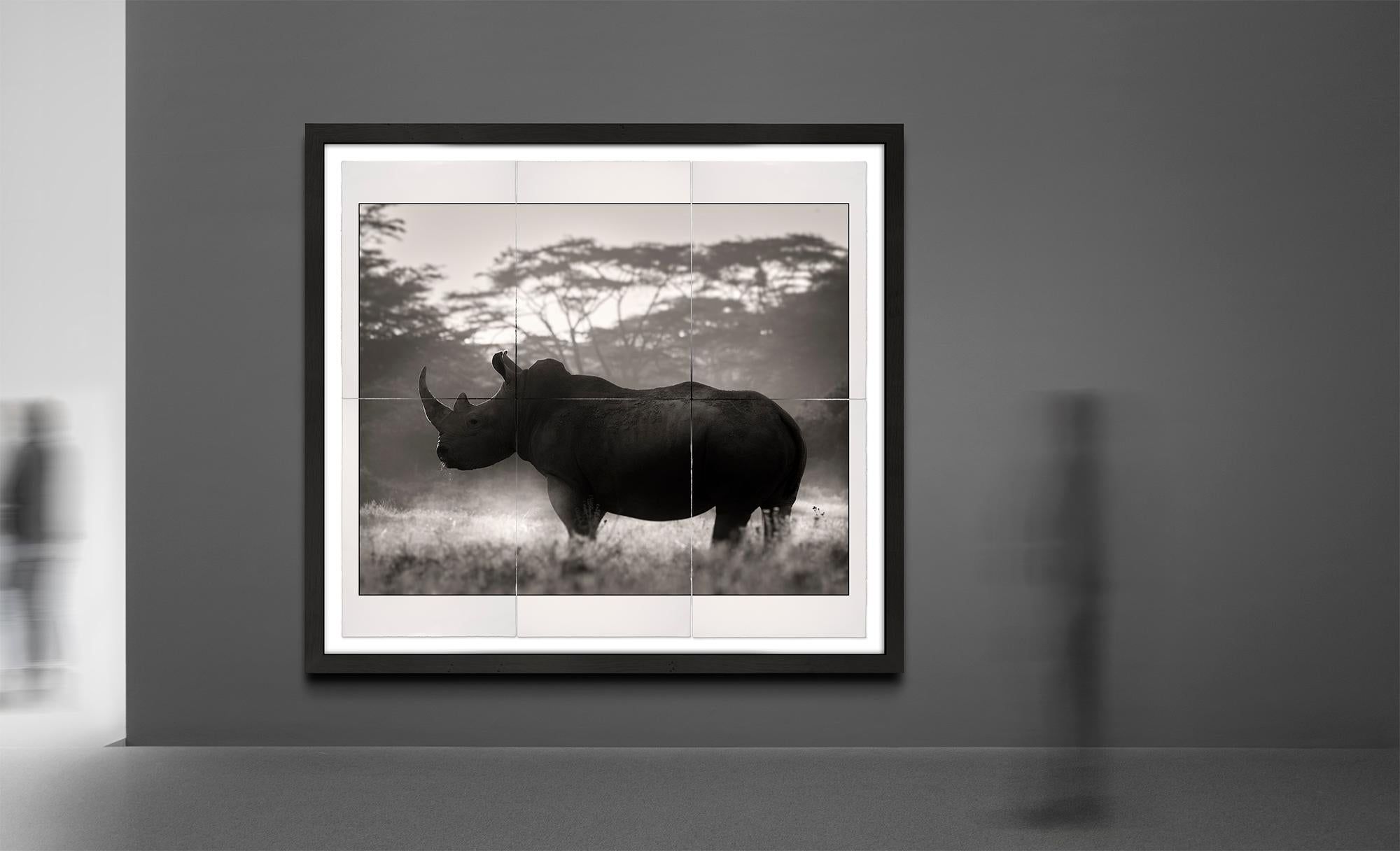 Cut in Stone, Platin, Tier, Tierwelt, Schwarz-Weiß-Fotografie, Rhino (Zeitgenössisch), Photograph, von Joachim Schmeisser