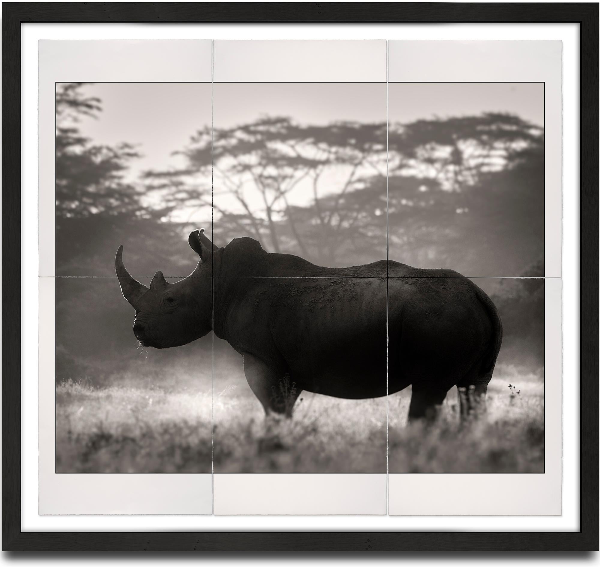 Joachim Schmeisser Portrait Photograph – Cut in Stone, Platin, Tier, Tierwelt, Schwarz-Weiß-Fotografie, Rhino