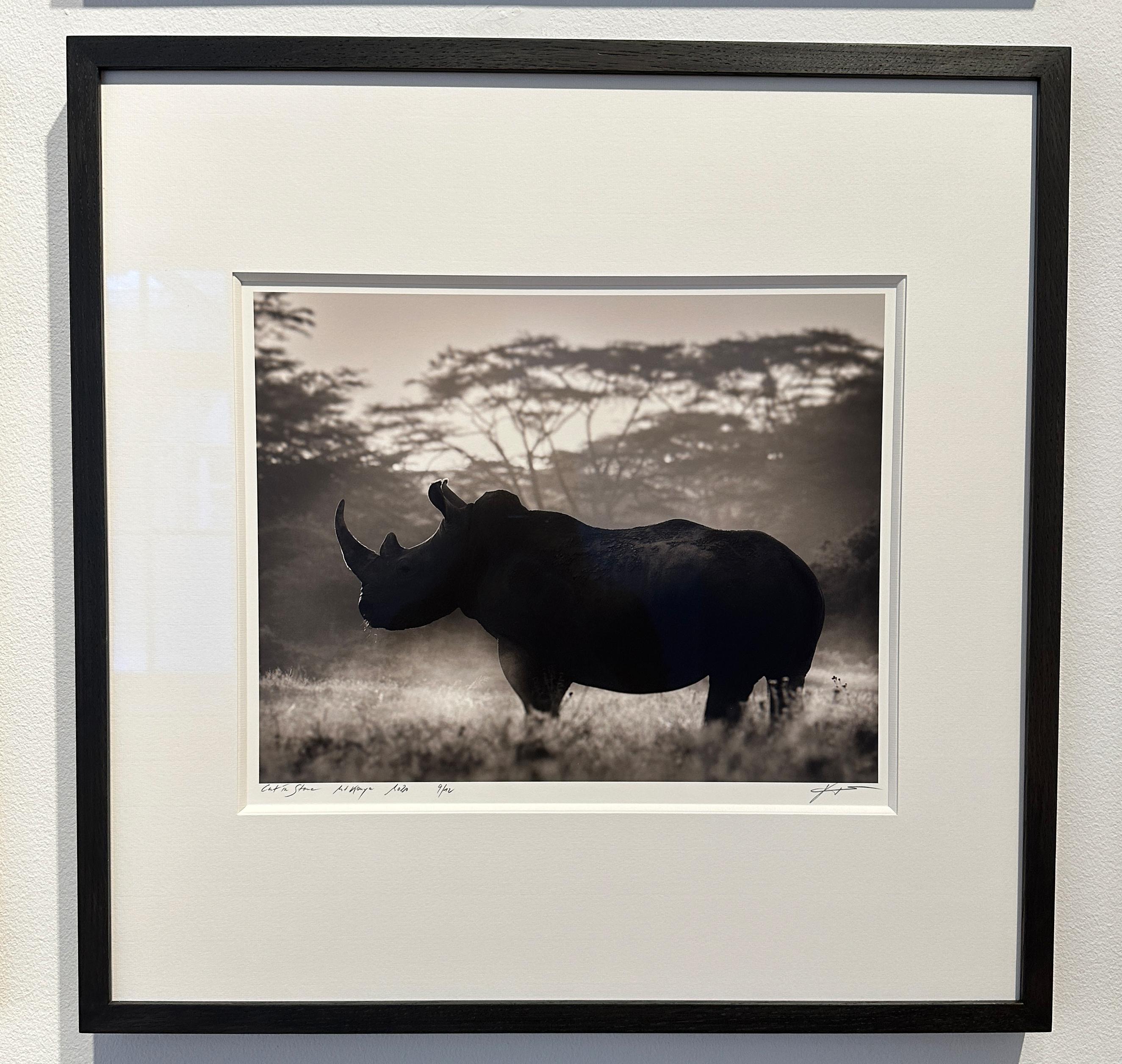 Cortado en Piedra, Rinoceronte, blanco y negro, animal, África, Fotografía - Photograph de Joachim Schmeisser