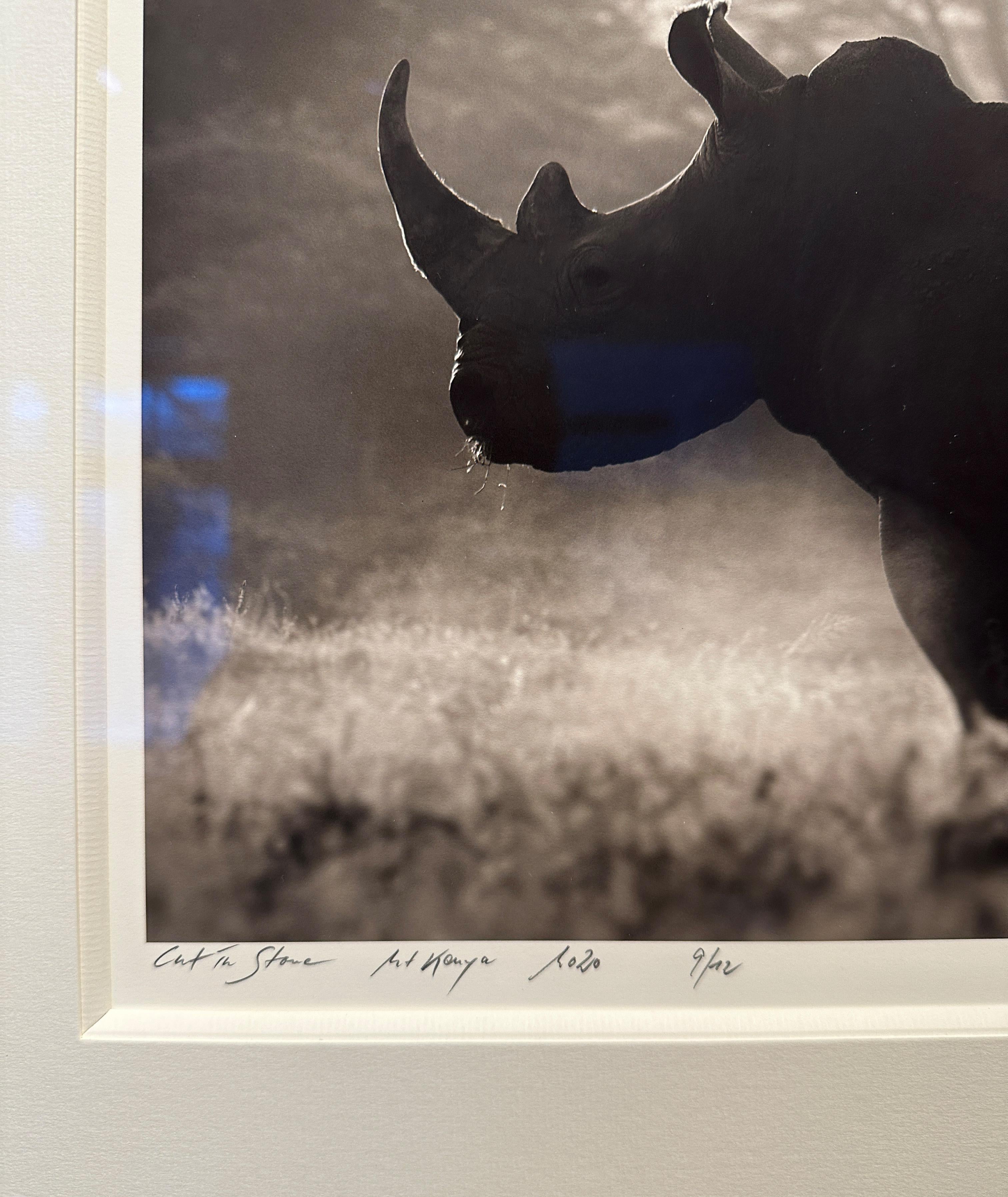 Cortado en Piedra, Rinoceronte, blanco y negro, animal, África, Fotografía - Photograph Contemporáneo de Joachim Schmeisser