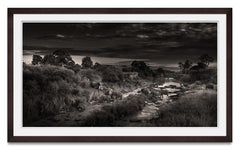 Dramatic Crossing, animal, wildlife, black and white photography, elephant