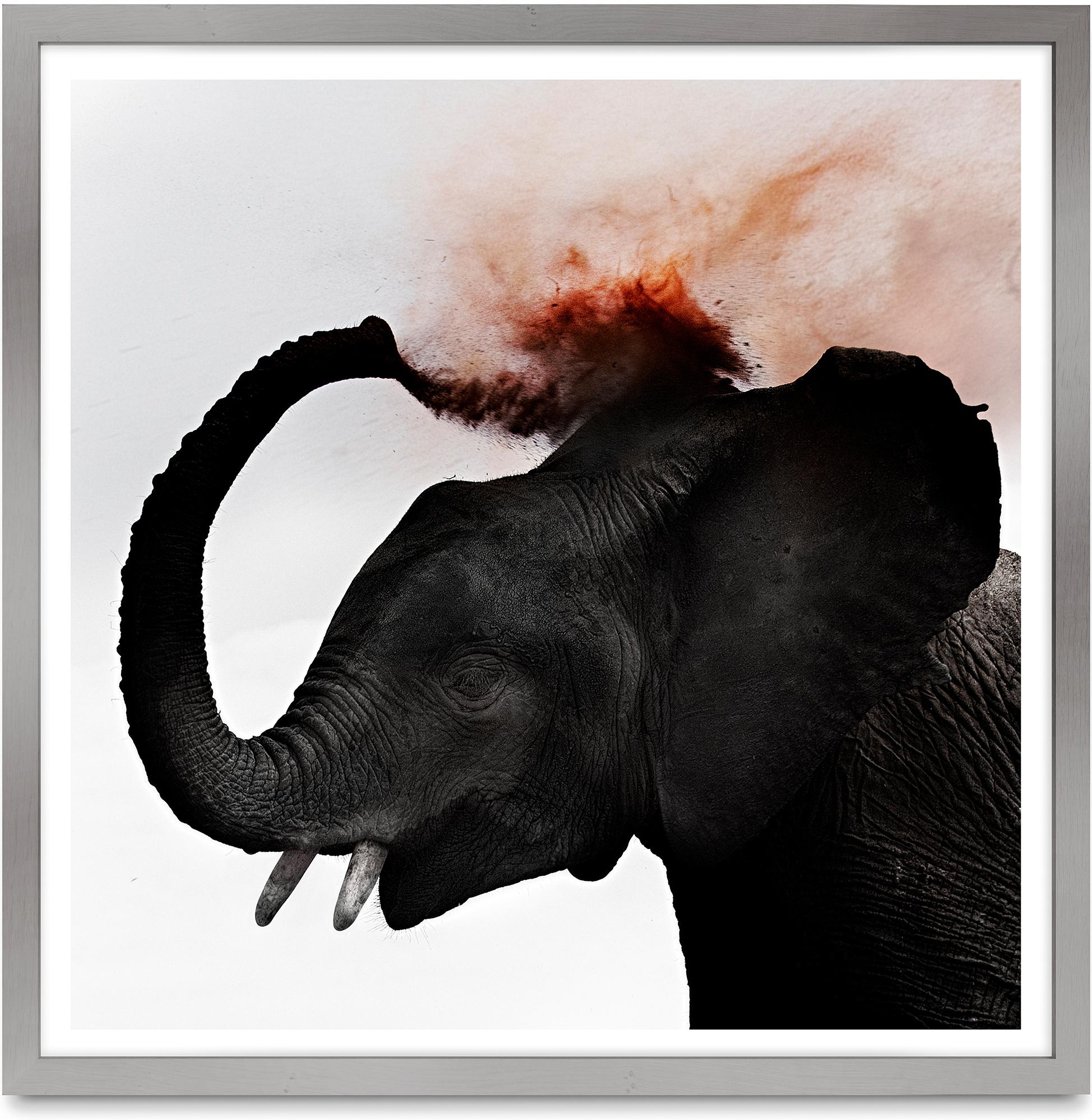 Dust III, Kenya, Elephant, animal, wildlife, color photography, africa - Photograph by Joachim Schmeisser
